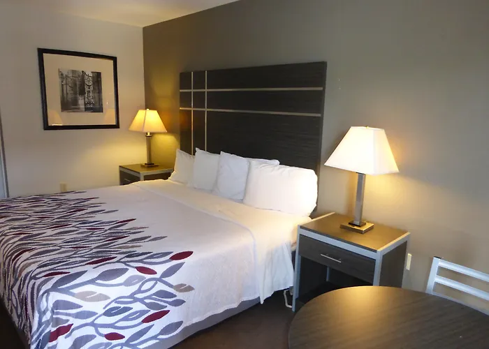 Best Hotels Near Columbia, South Carolina
