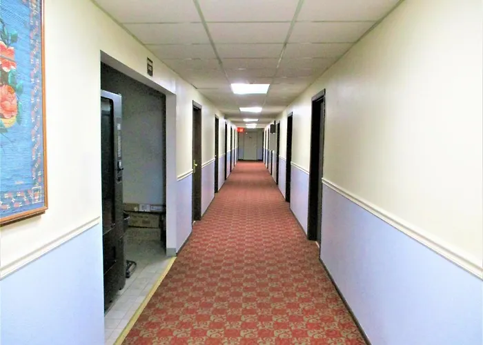 Premier Pet-Friendly Accommodations in Williamsburg